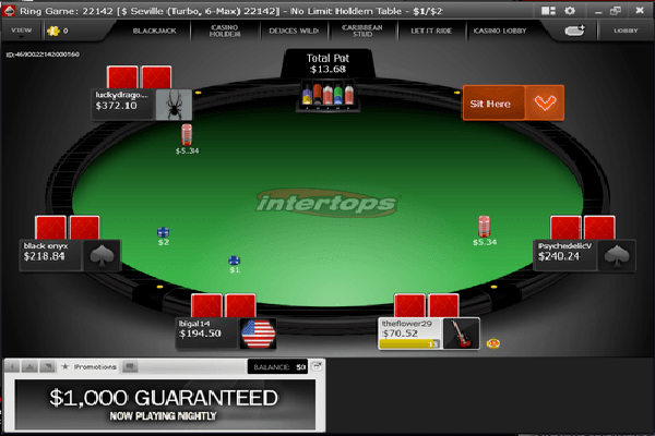 Everygame Poker screen shot